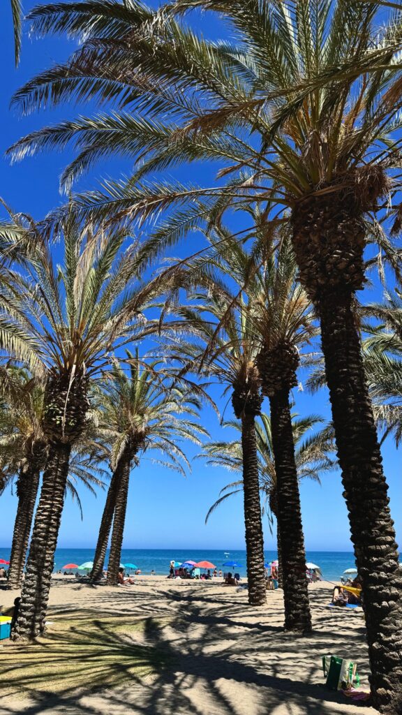 Playamar - Torremolinos 